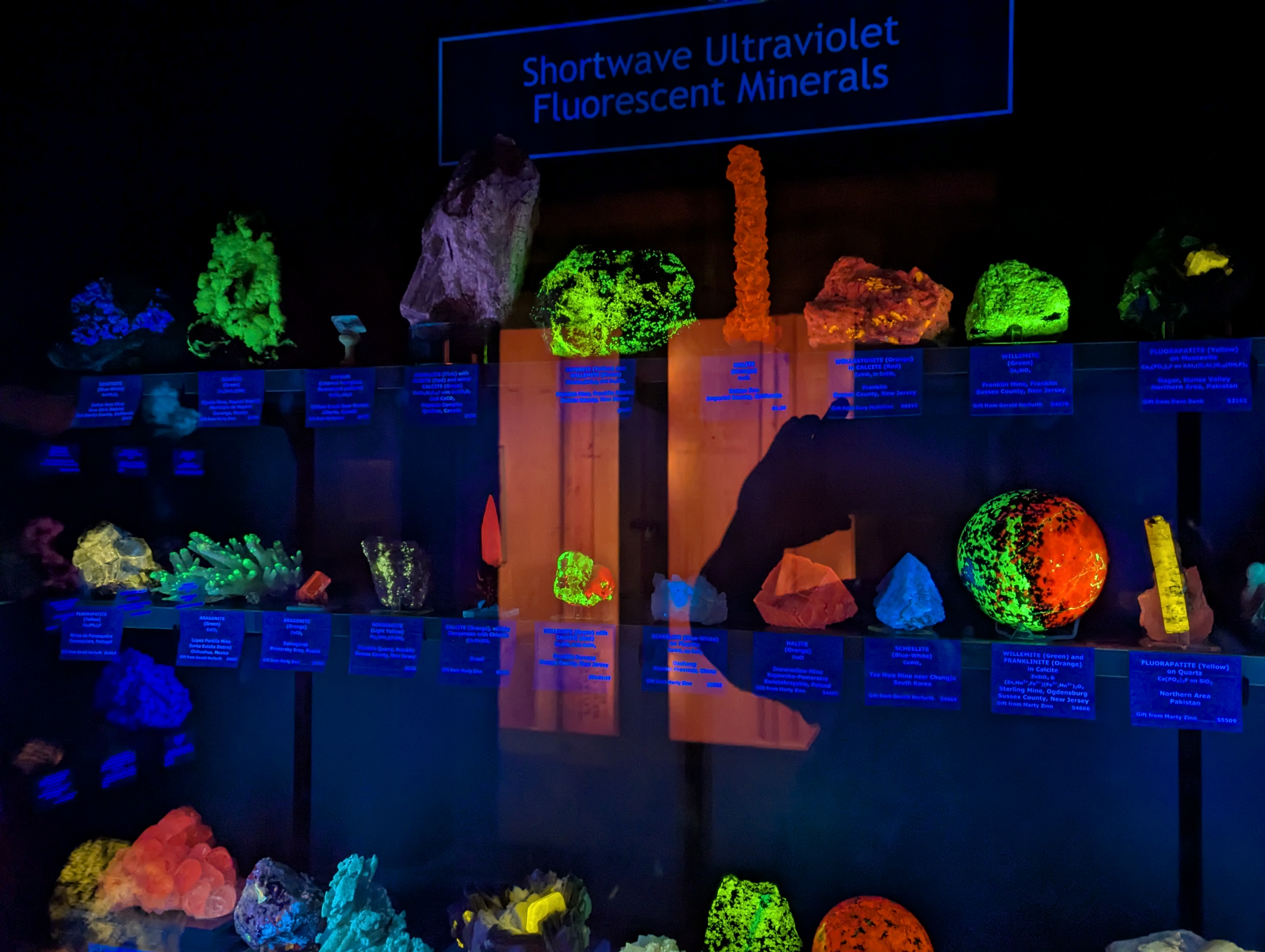 Colorado School of Mines, Geology Museum